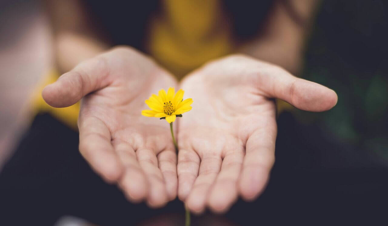 Radical Acceptance