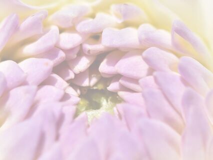 Too Much, Too Fast: EFT Tapping For Overwhelm