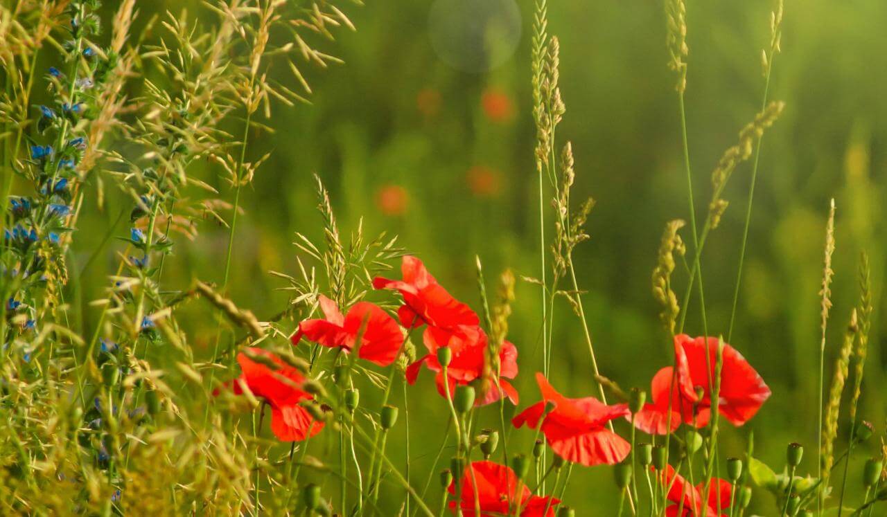Salir Del Piloto Automático