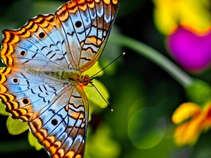 Elements Of Change - by Bianca Campbell