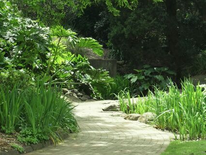 A Guided Journey Toward Inner Strength - by Koelle Williams