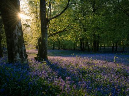 Break Free From People-Pleasing - by Annie Moussu