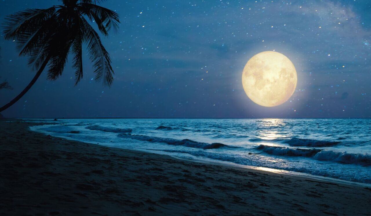 Retrouvez Le Sommeil De Vos Rêves