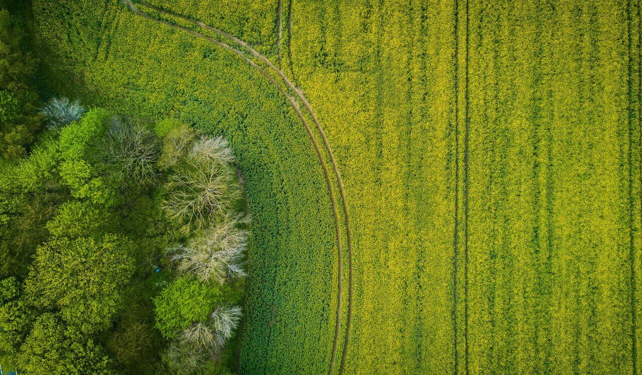 Daily Practice - Nervous System Reset