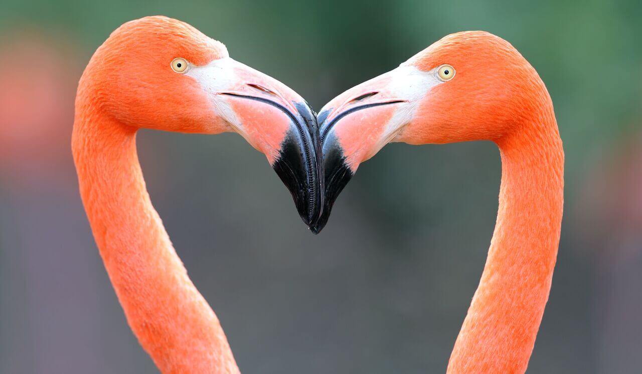 Sleep Affirmations: Success In Love & Life