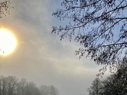 January Reflections: Grounding, Intention, Renewal, Presence