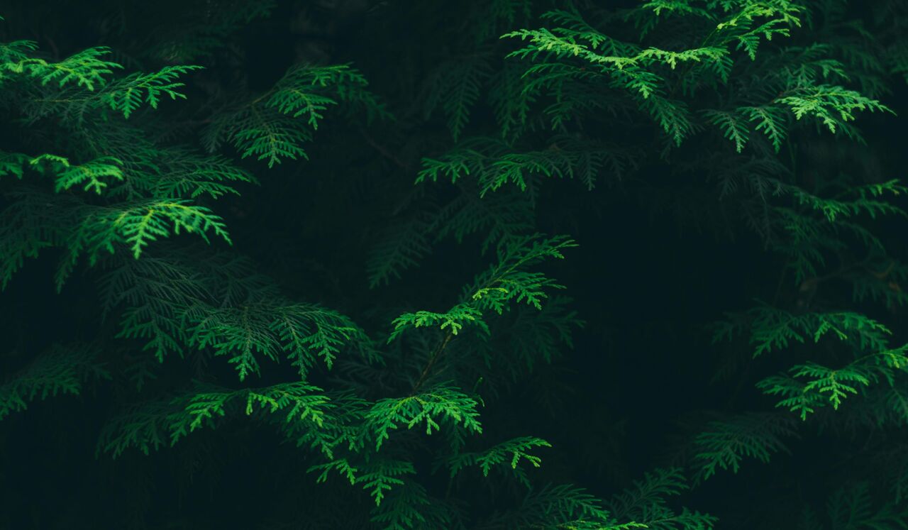 Preparing Self Before Sessions For Therapists & Healers