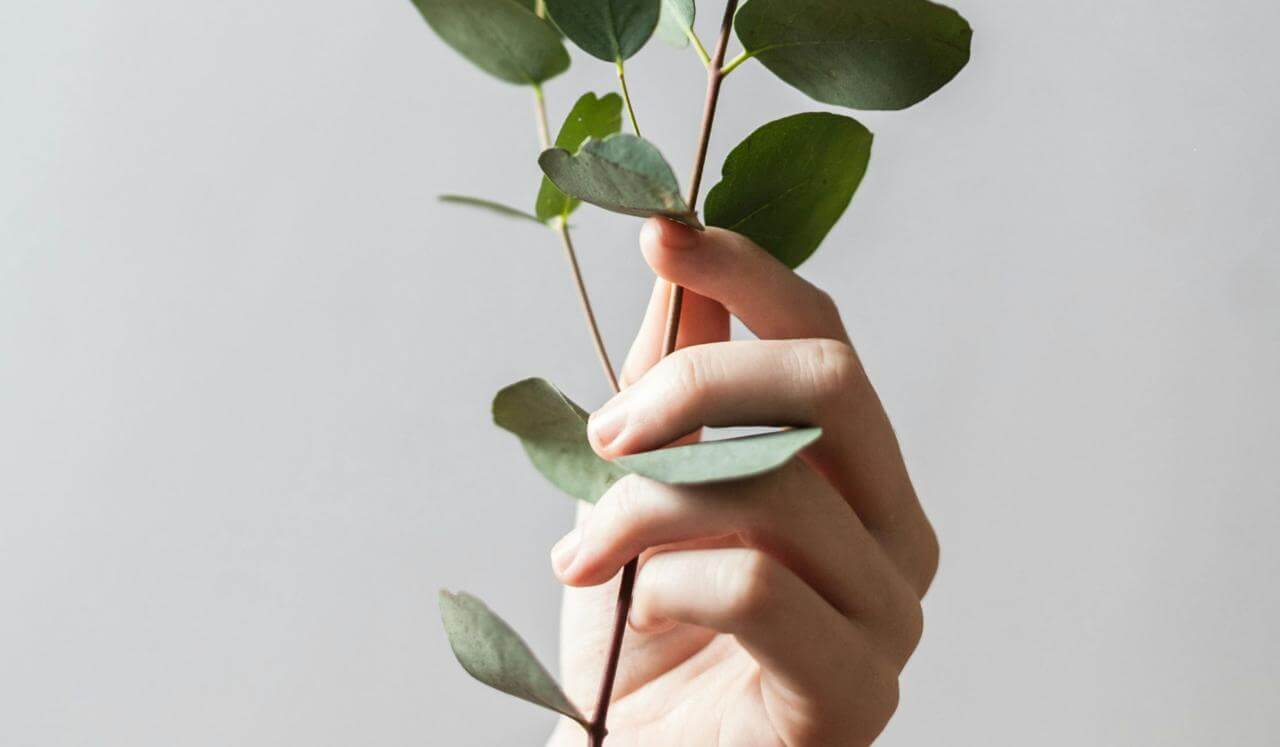 Vigyan Bhairav Tantra | Self-Realization | Jhana Consciousness (Part 2)