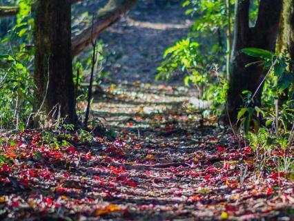 Afternoon Reset: Reclaim Your Energy & Focus (10 Minutes)