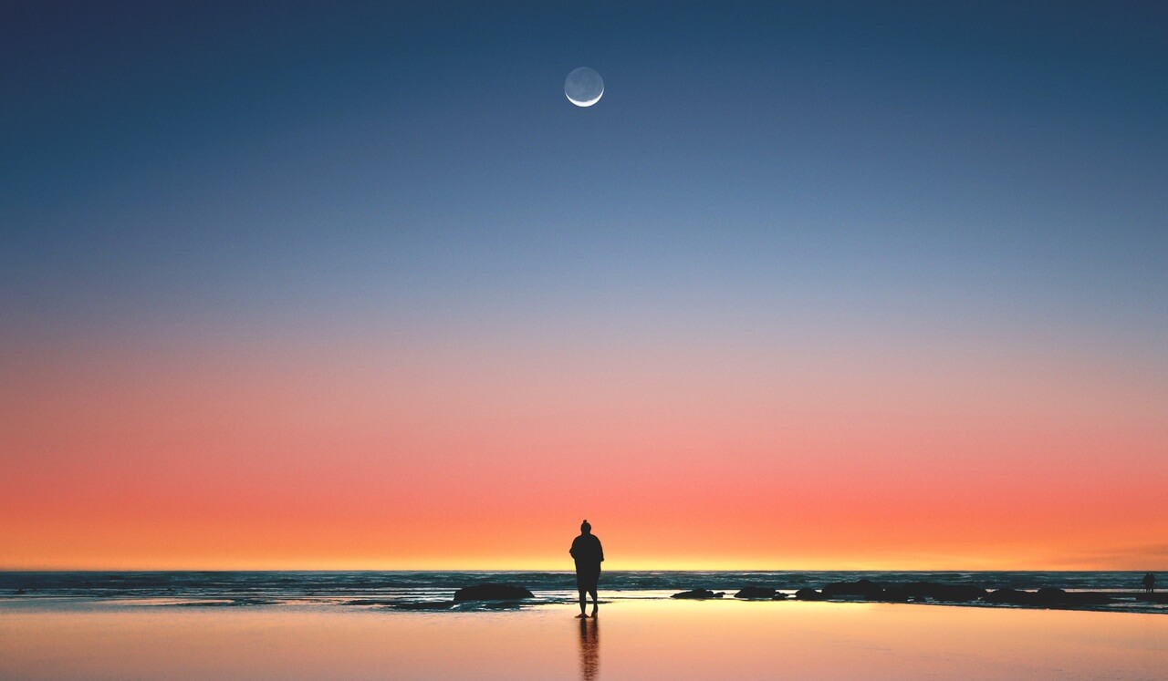 Day 2: Dreamy Sleep Story - The Firefly's Whisper