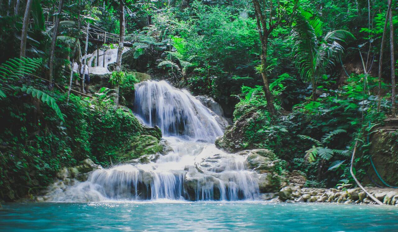 Nature Sounds: Waterfall Serenity: A 2-Hour Morning Odyssey