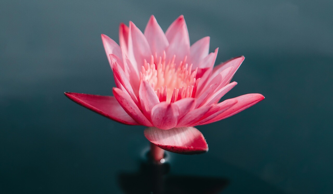 Let Go & See Life Differently