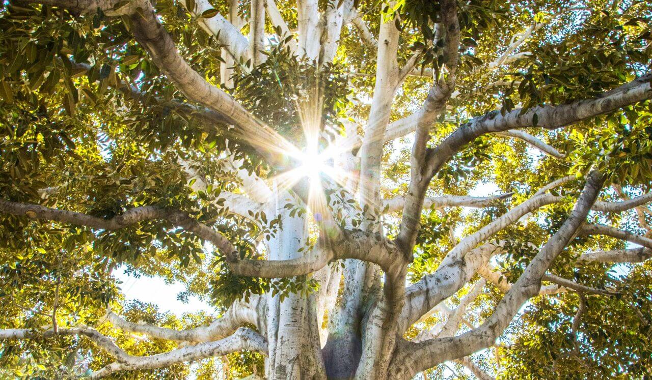 Access Your Wisdom In A Moment