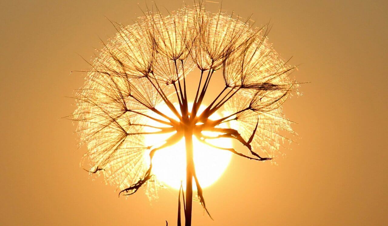 Your Reiki Day: Level 3