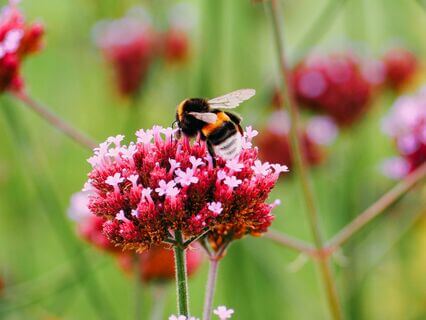 Unlock Your Productivity Today - by Mary Schiller