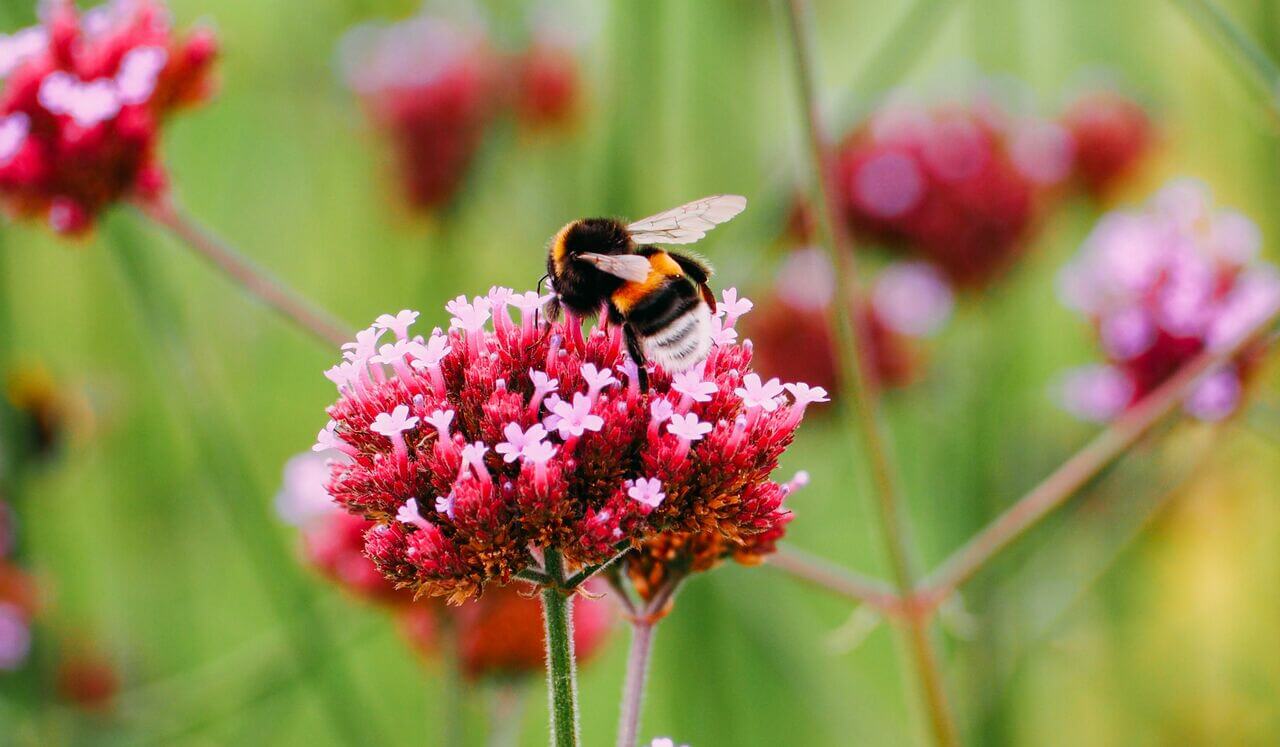 Unlock Your Productivity Today