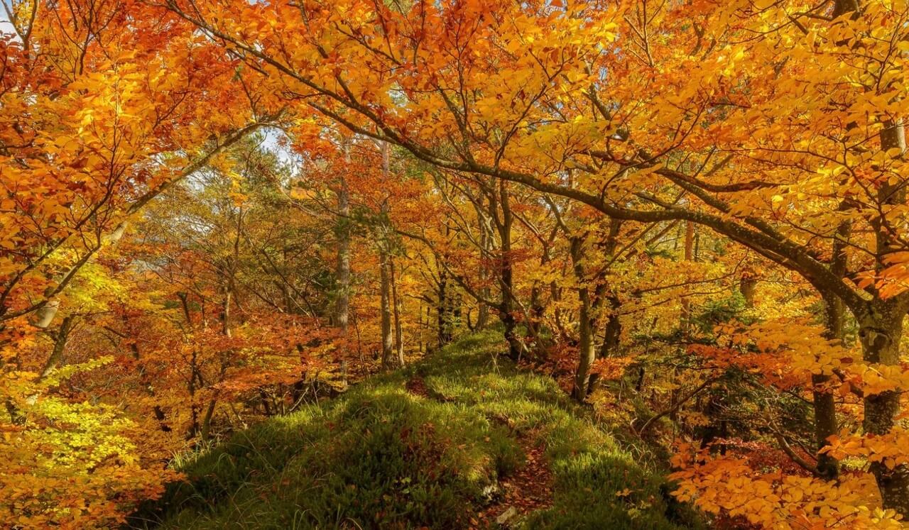 The Power Of Relaxation: Unwinding Body, Mind & Spirit