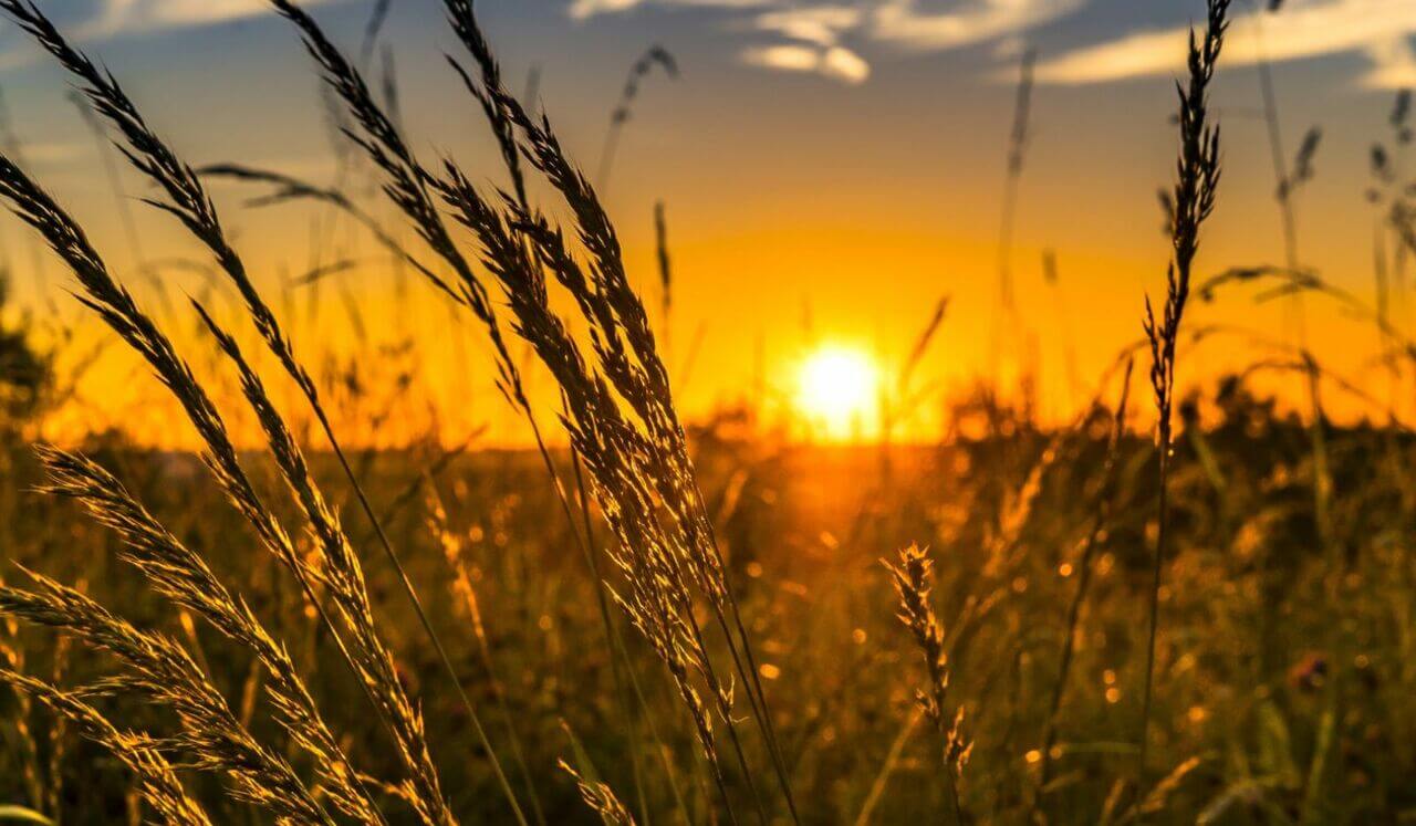 Relaxation : Petite Pause Bienfaisante