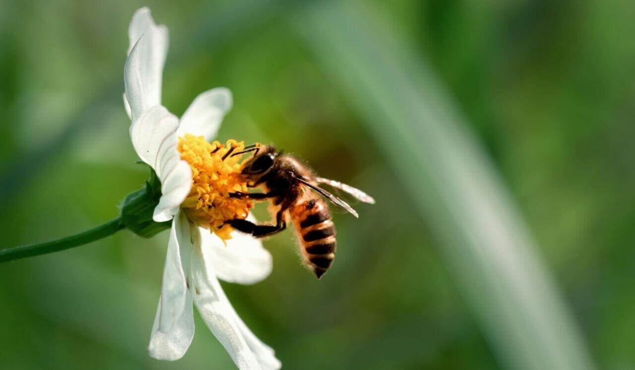 Release Trauma Signals - Lack Of Control