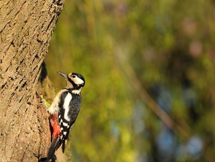 April Reflections: Growing With The Season