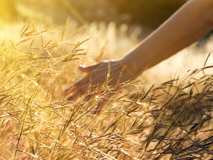 Bliss Moment (Slow Piano)