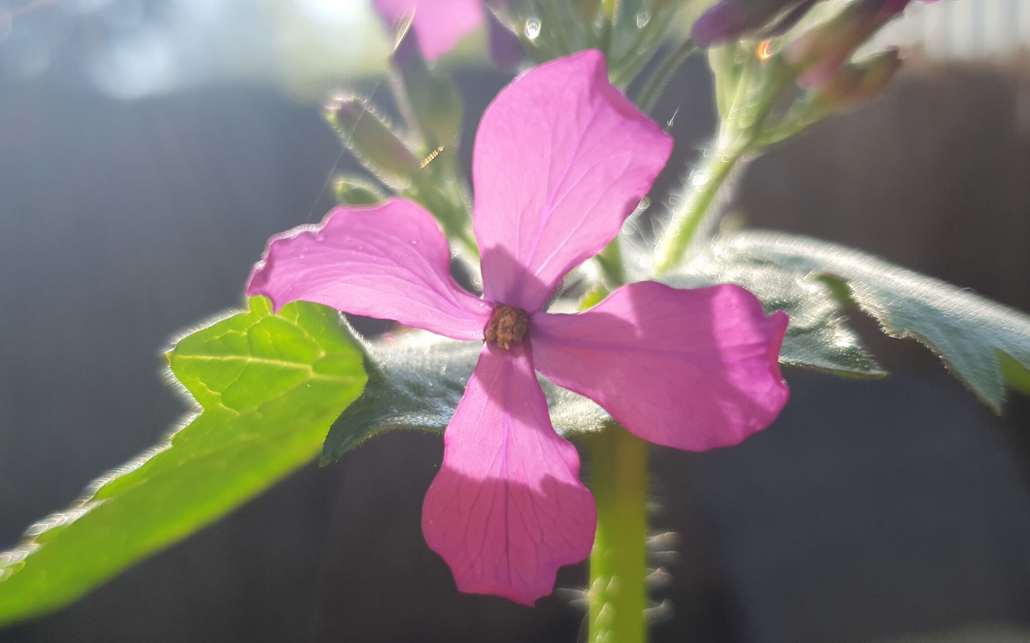 Verwarring lost écht op