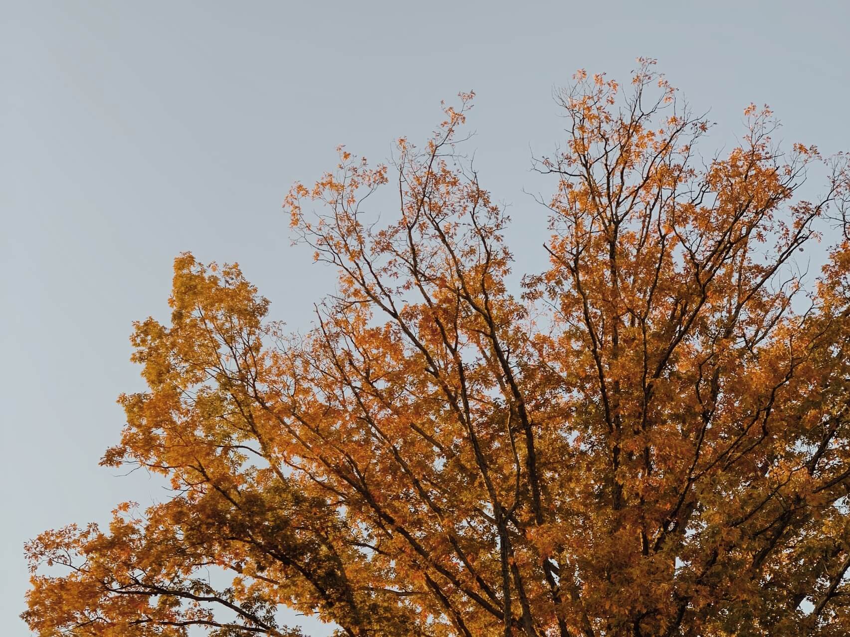 Note To Self: Meditation For Inner-Peace