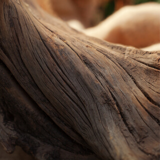 Das Ich-Sein stärken in 10 Tagen