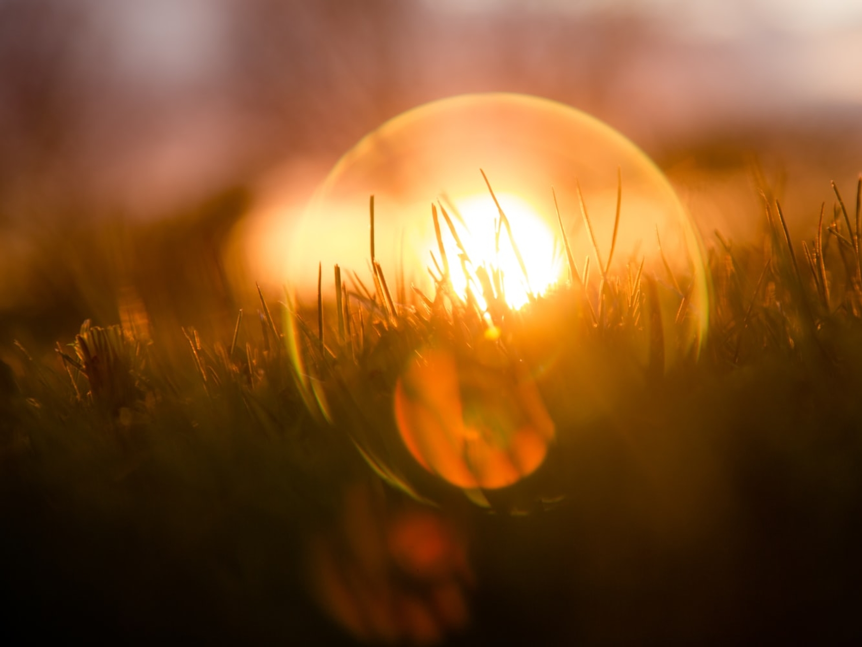 Solstice Meditation - 20-minute version