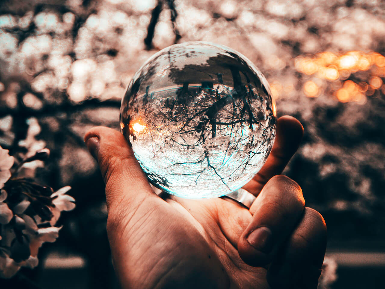 Poetic Tarot Practice