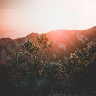 Establish An Optimal Morning Routine