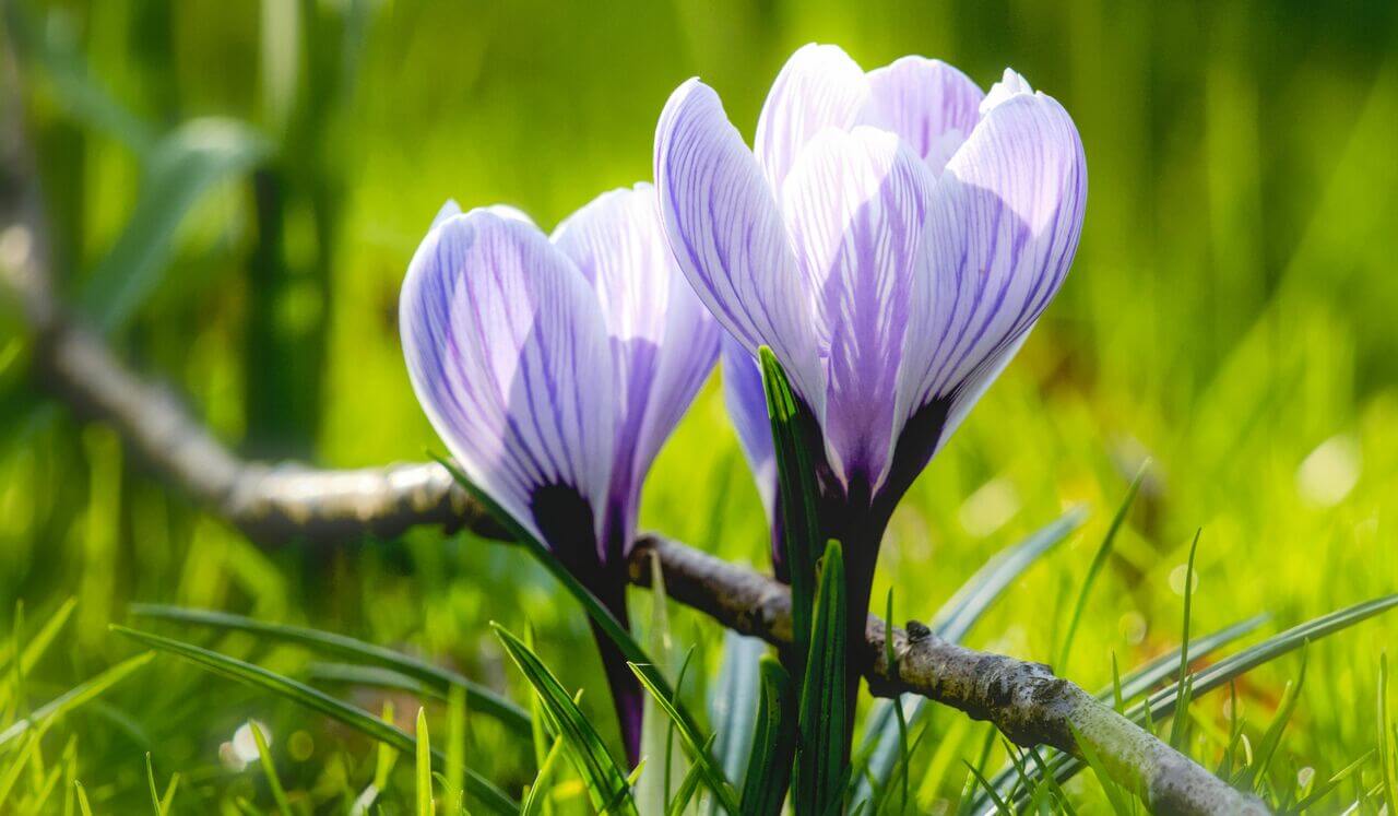 Truth, Trauma And Transformation