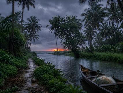 Stop Living In Survival Mode - Rewire Your Body For Deep Rest - by Ananya Iyer