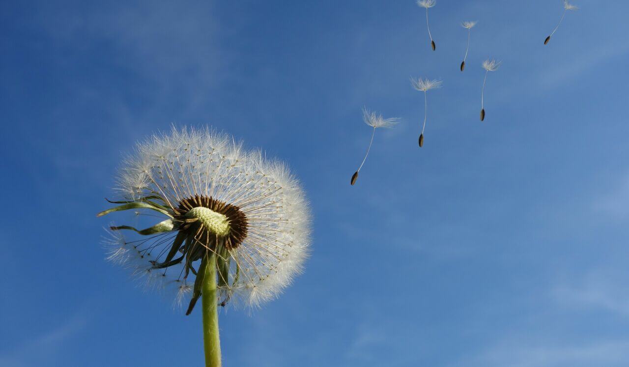 Let Go So Life Can Flow