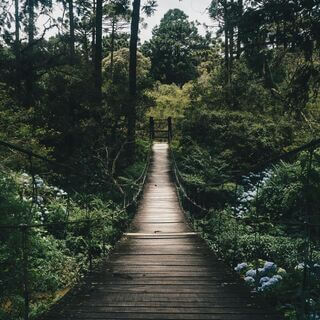 Breaking The Cycle Of Chronic Pain