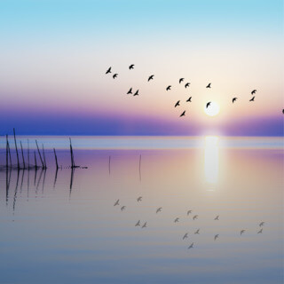 Дзен Аффирмации "Утреннее Сияние"