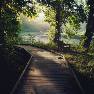 Encuentra Tu Misión De Vida