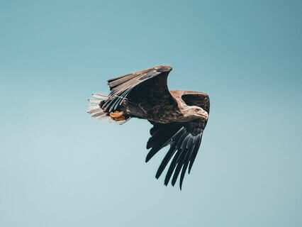 Success Magic For Busy People - Part 4: Creating Positive Outcomes - by Alice Langholt