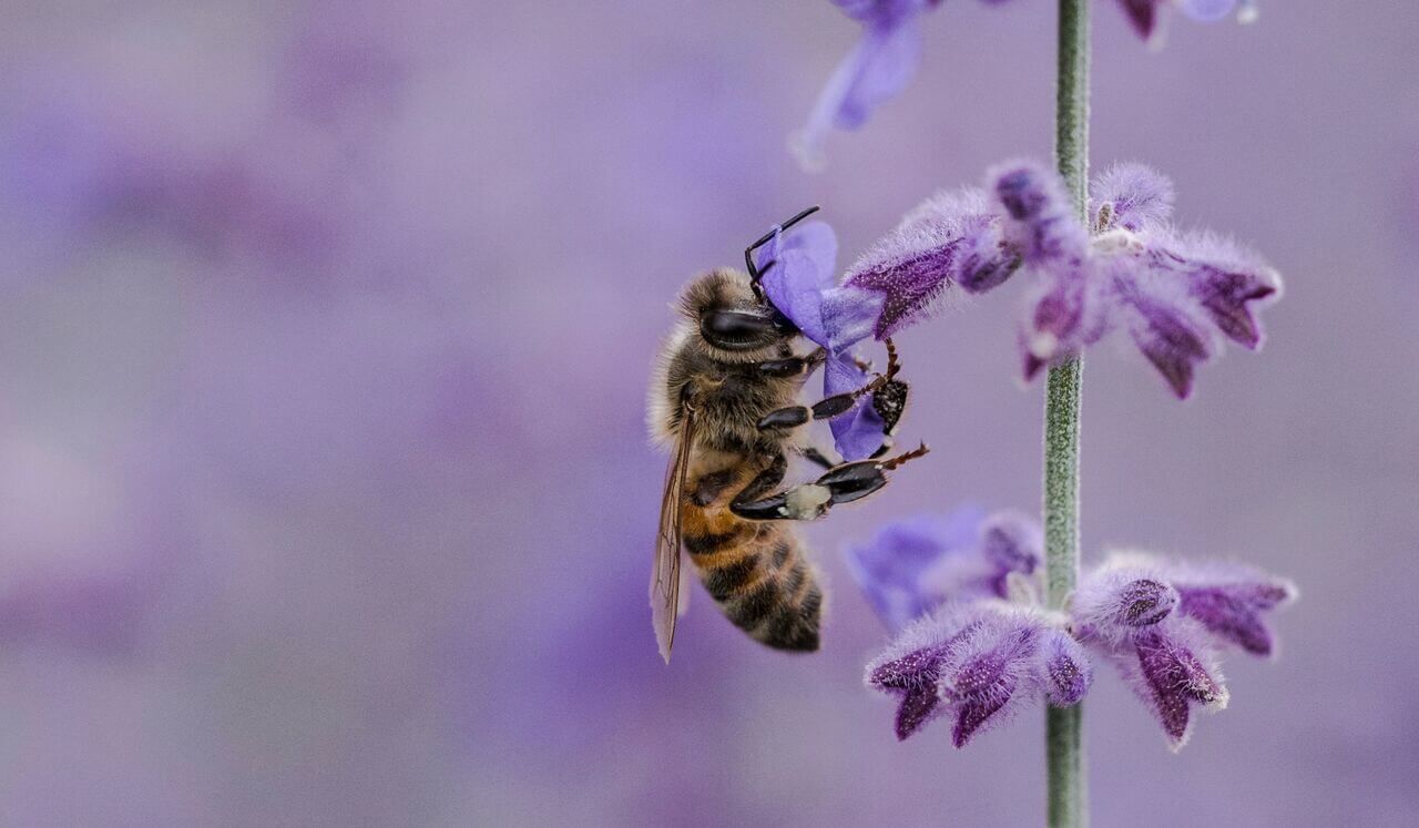 3 Relaxing Breath Patterns