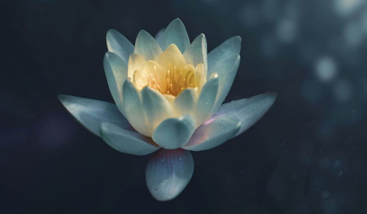 Words Of Compassion: Affirmations For Self-Compassion