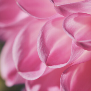 Empowerment Through Healthy Self-Esteem