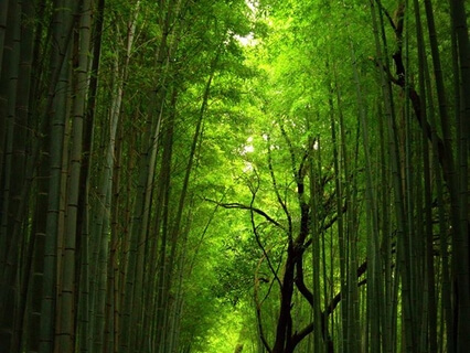 Safe Place Meditation