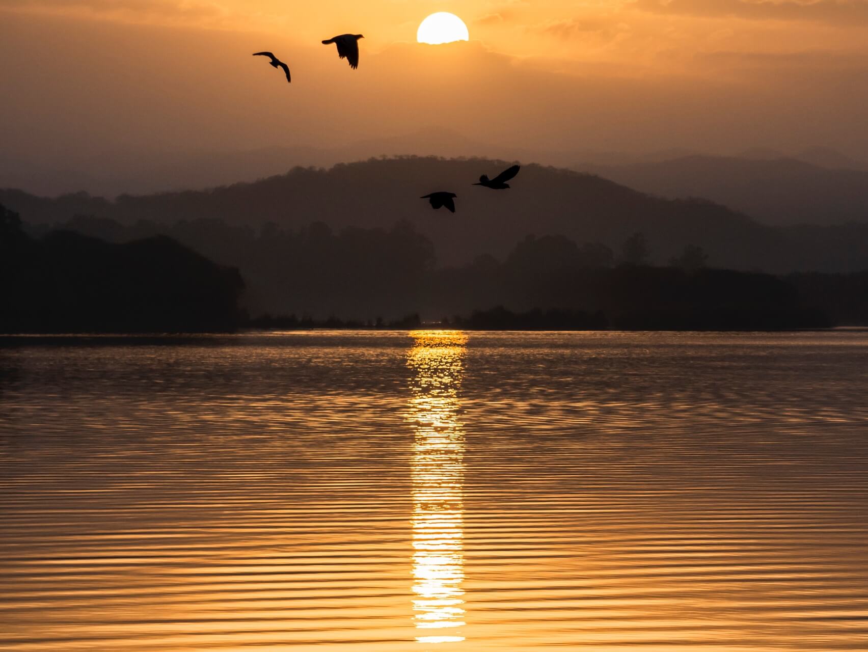 Cuento del Pájaro y su Jaula Dorada