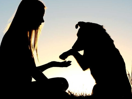 Healing Meditation For Grieving An Animal Friend Or Pet