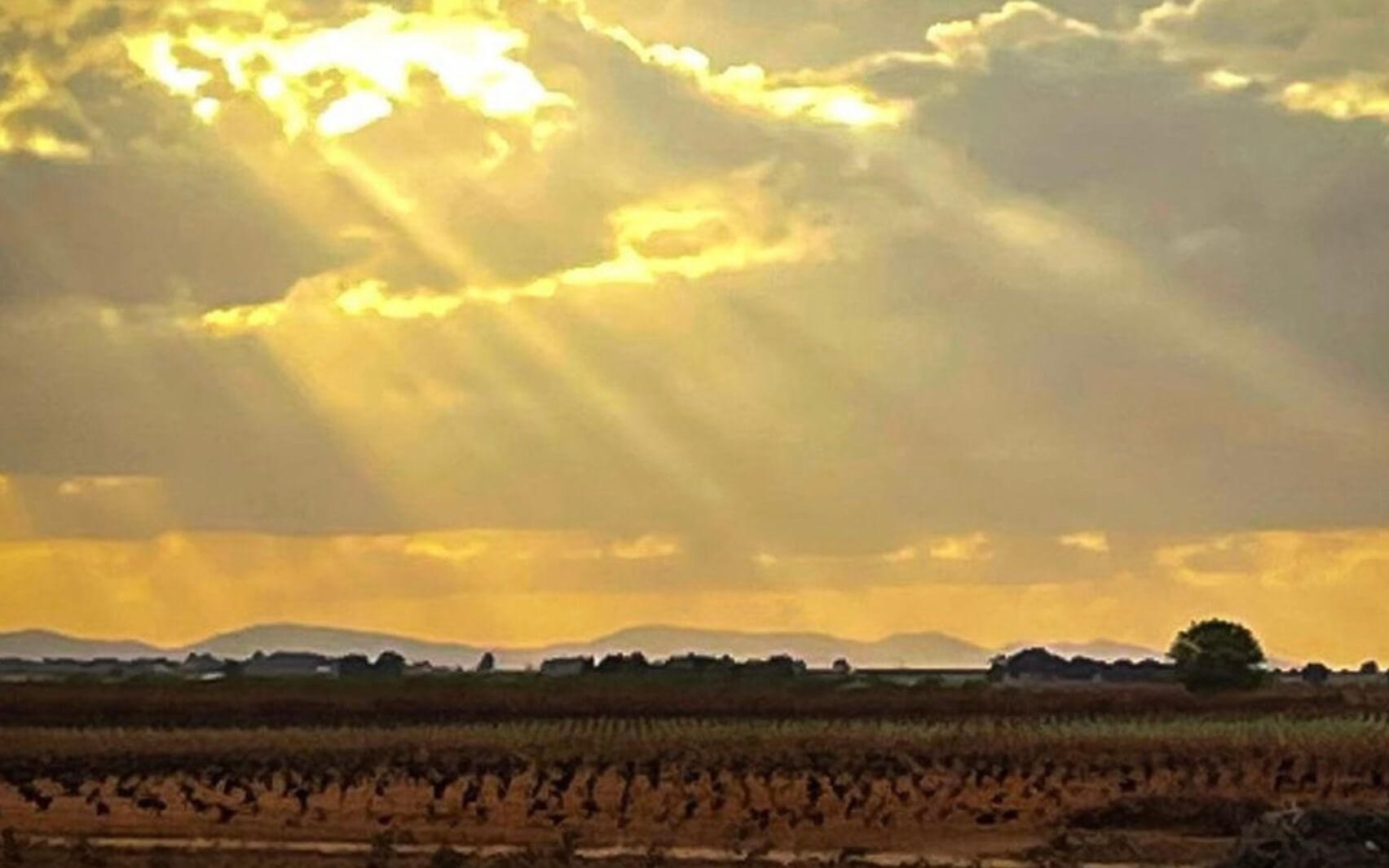 Reflexiones Sobre la Vida