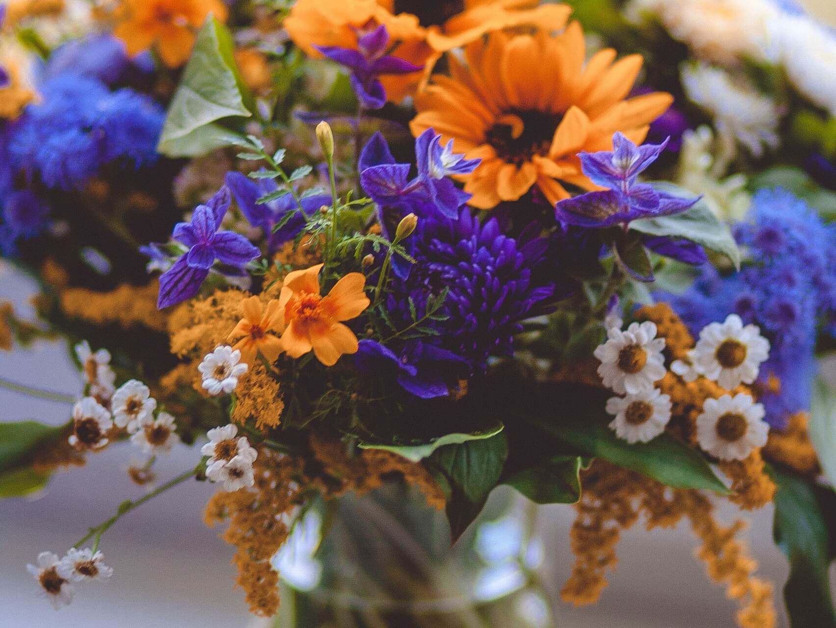 Universidad de Alcalá Semana 1#1 Taller de Atención Plena 