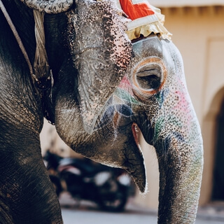 Ancient Indian Stories: The Blind Men And The Elephant | Jim Rajan