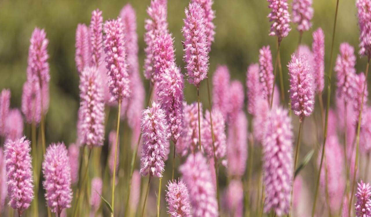 Relaxation For Pelvic Floor Relief