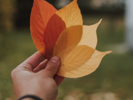 Amor y Bondad: Llénate de Dulzura, Compasión y Empatía