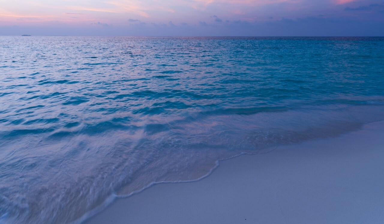 Nervous System Reset Meditation